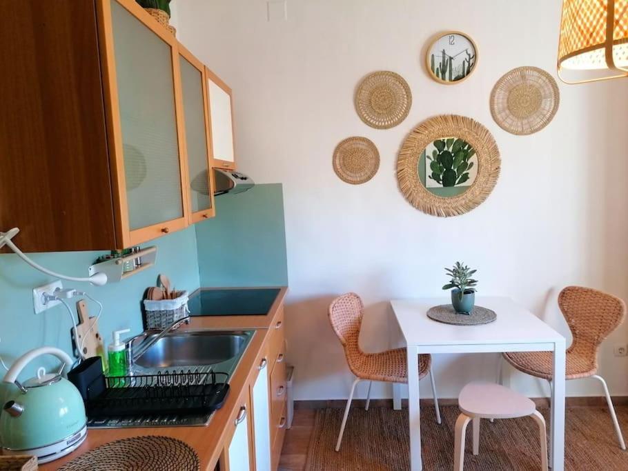 Studio Apartman Cactus Daire Zagreb Dış mekan fotoğraf