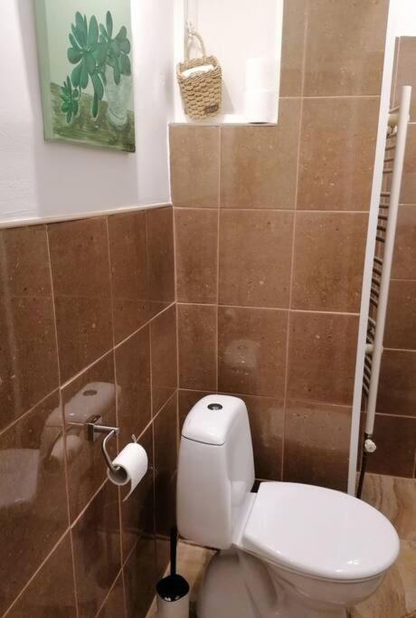 Studio Apartman Cactus Daire Zagreb Dış mekan fotoğraf