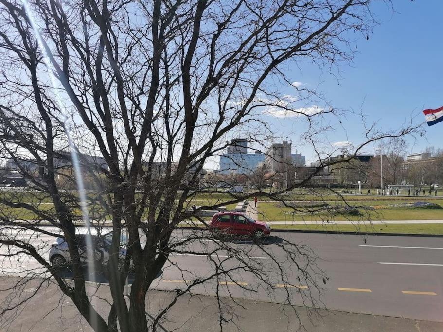 Studio Apartman Cactus Daire Zagreb Dış mekan fotoğraf
