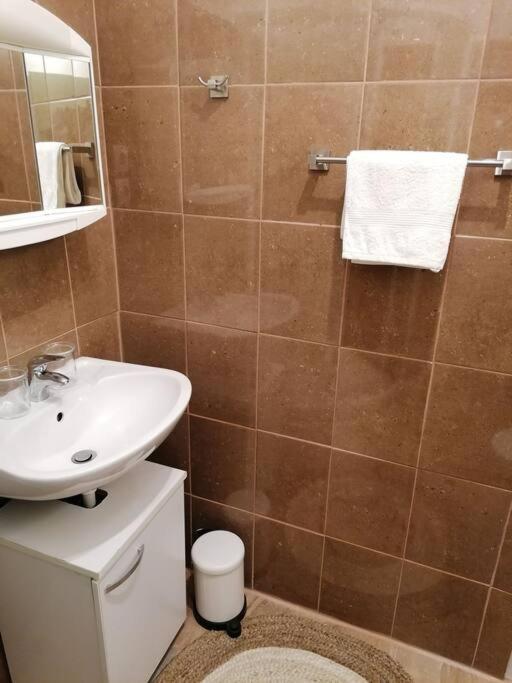 Studio Apartman Cactus Daire Zagreb Dış mekan fotoğraf